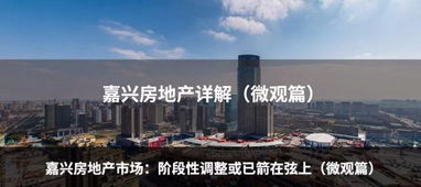 重點(diǎn)城市基價(jià)全線(xiàn)回暖 各類(lèi)調(diào)控政策逐漸精細(xì)化