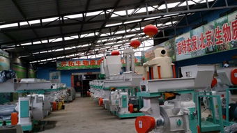 較專業(yè)的生物質(zhì)顆粒機廠家 較專業(yè)的生物質(zhì)顆粒機價格