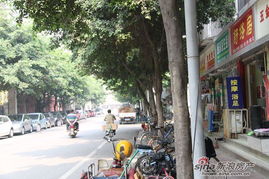 紅星國(guó)際圖片 四川房產(chǎn)